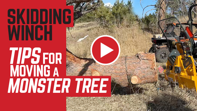 TIPS FOR MOVING A MONSTER TREE WITH A SKIDDING WINCH FROM HUDSON