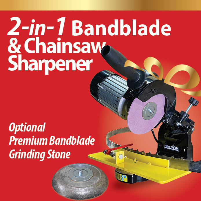 2 in 1 Bandblade & chainsaw sharpener